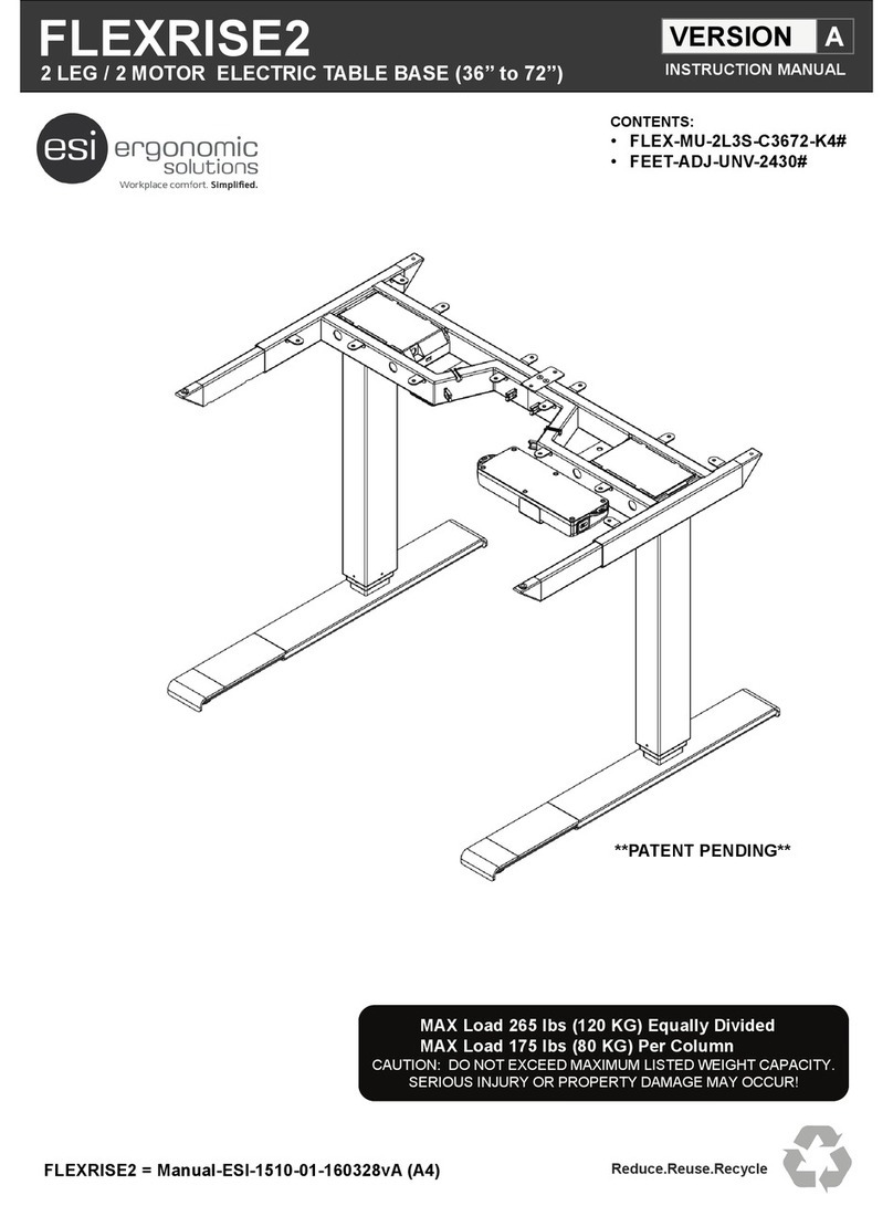 ESI FLEXRISE2 User manual