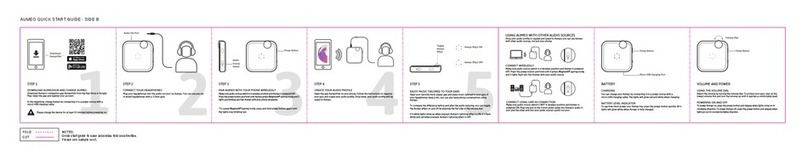 Aumeo Audio V.1 User manual