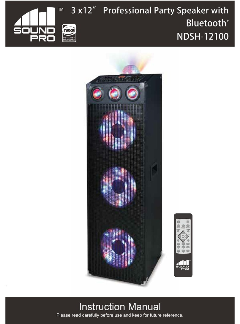 Sound Pro NDSH-12100 instruction manual