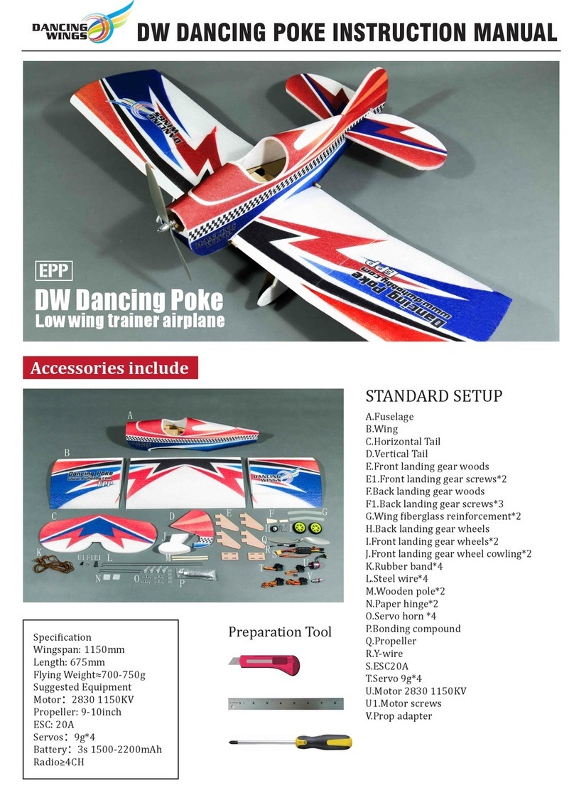 Dancing Wings DW DANCING POKE User manual
