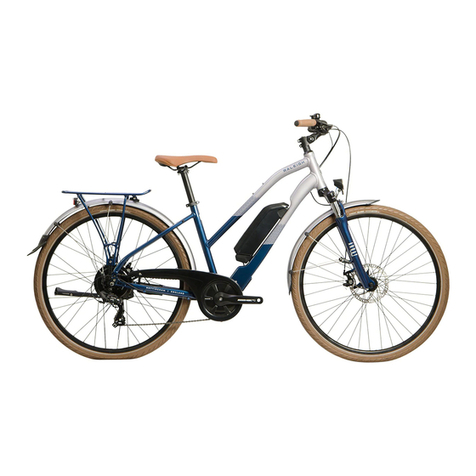 Raleigh Array Technical manual