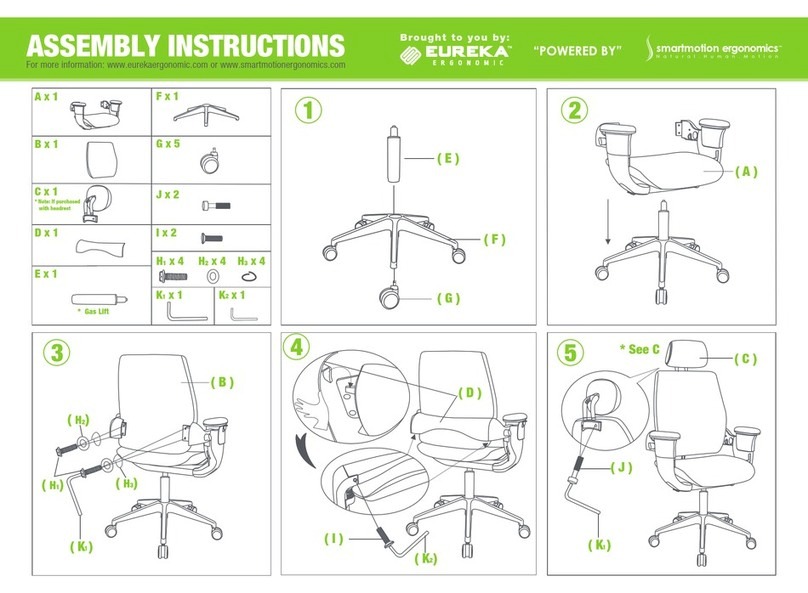 Eureka Ergonomic Executive Swing Chair User manual