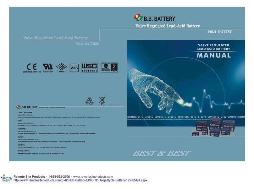 BB Battery BP10-4 manual