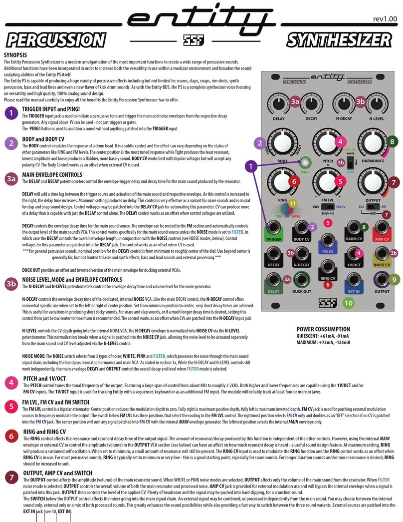 SSF Entity manual