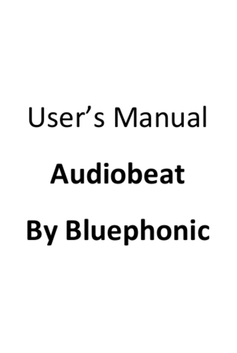 Bluephonic Audiobeat User manual