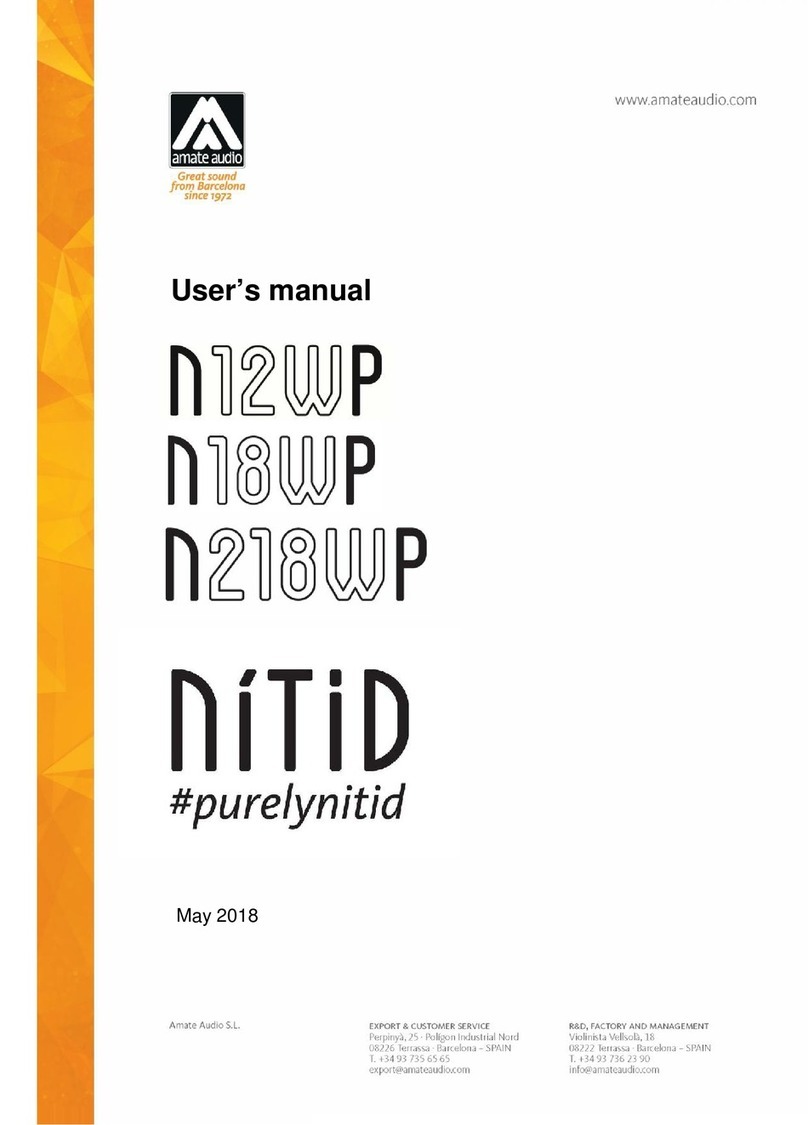Amate Audio N12WP user manual