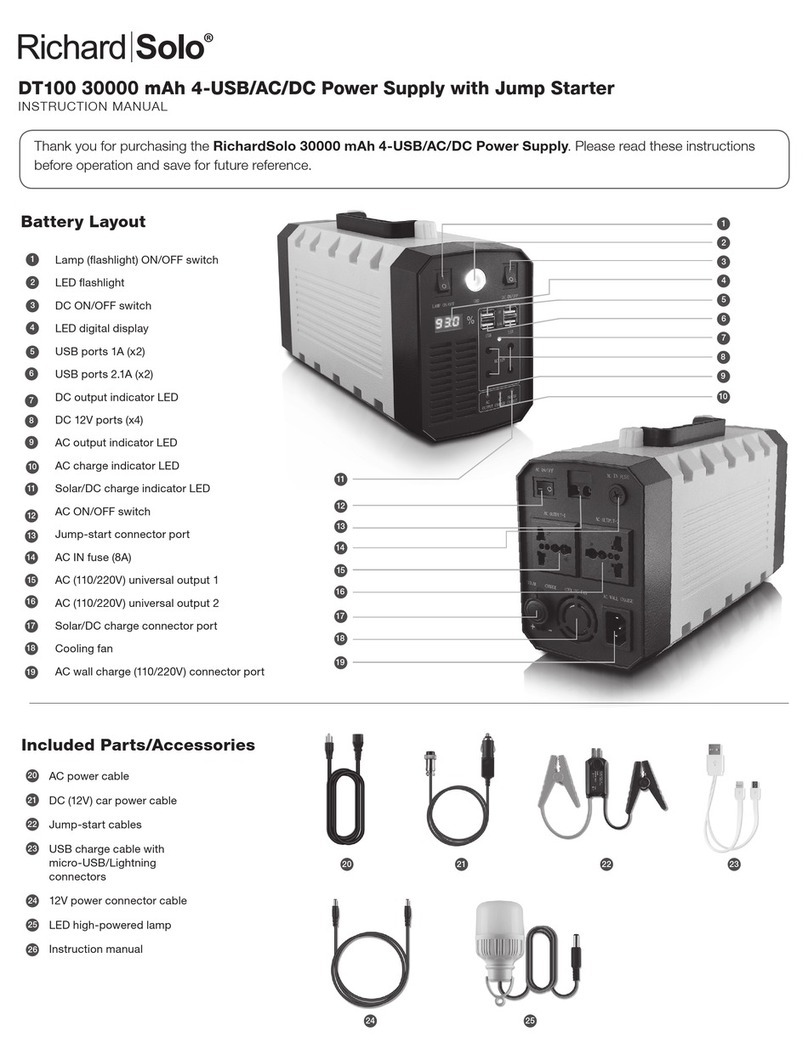 RichardSolo DT100 instruction manual