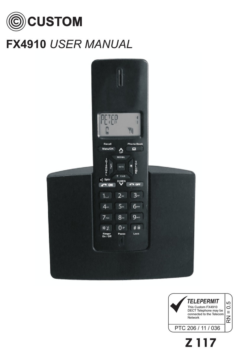 Custom Audio Electronics FX4910 user manual