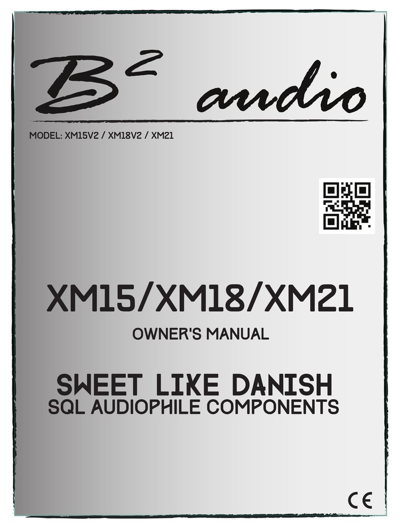 B2 Audio XM18V2 owner's manual