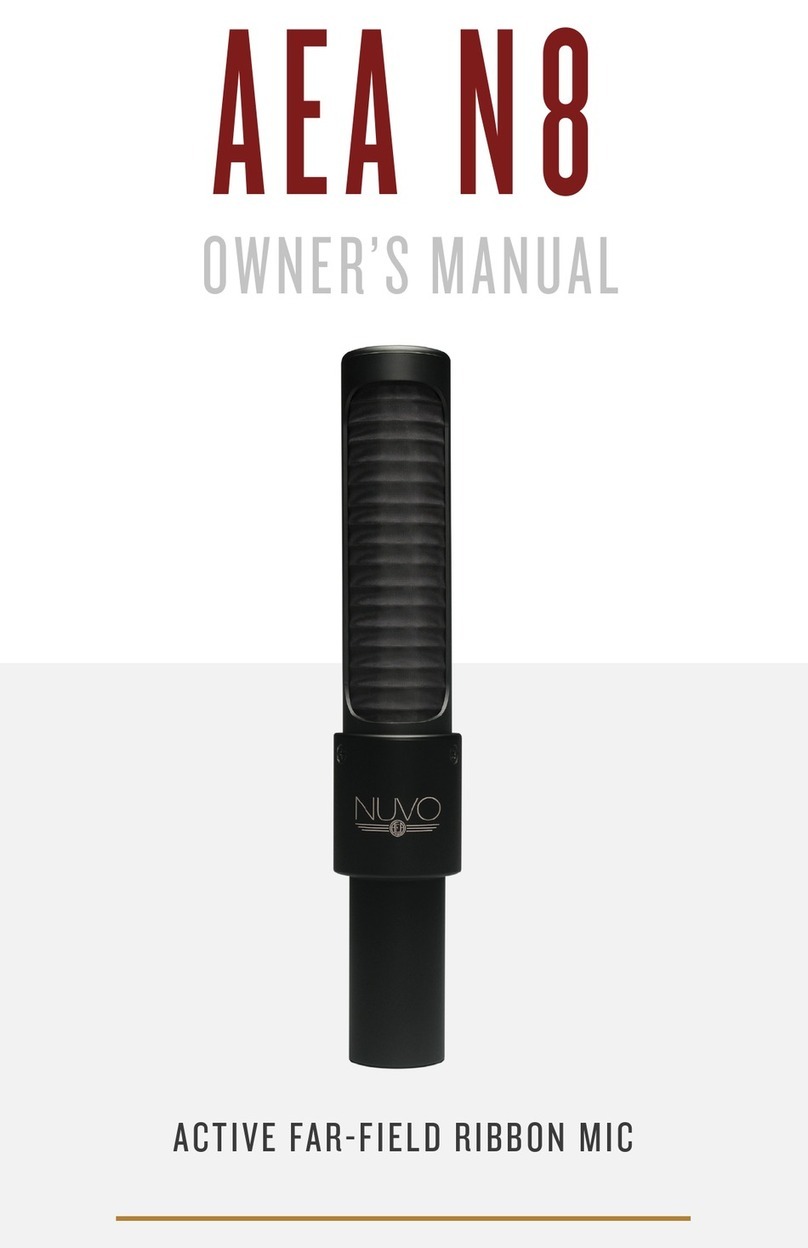 AEA N8 owner's manual