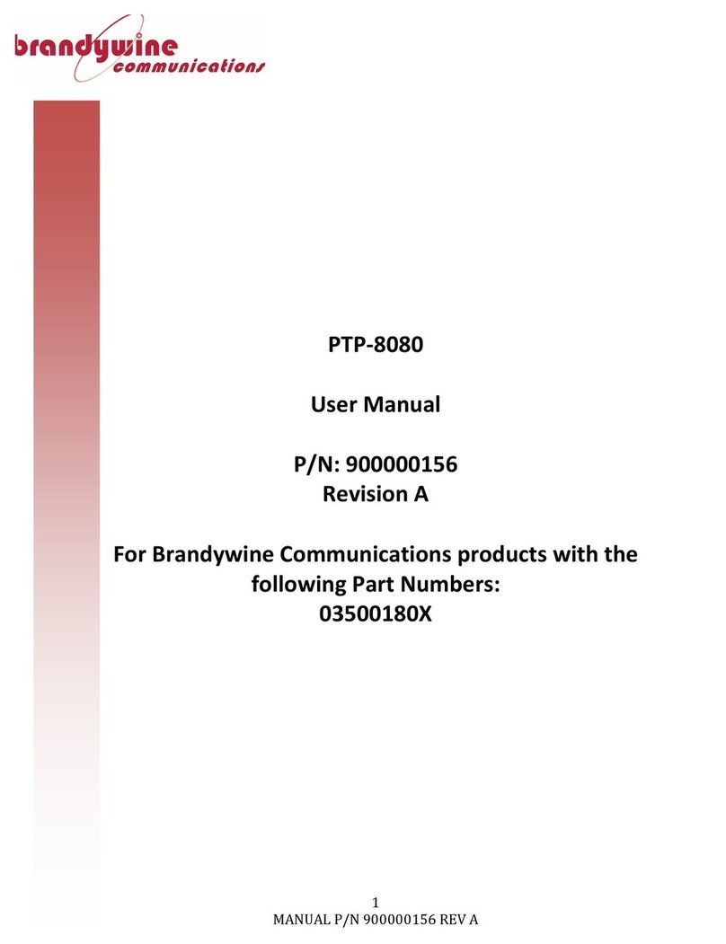 Brandywine PTP-8080 User manual