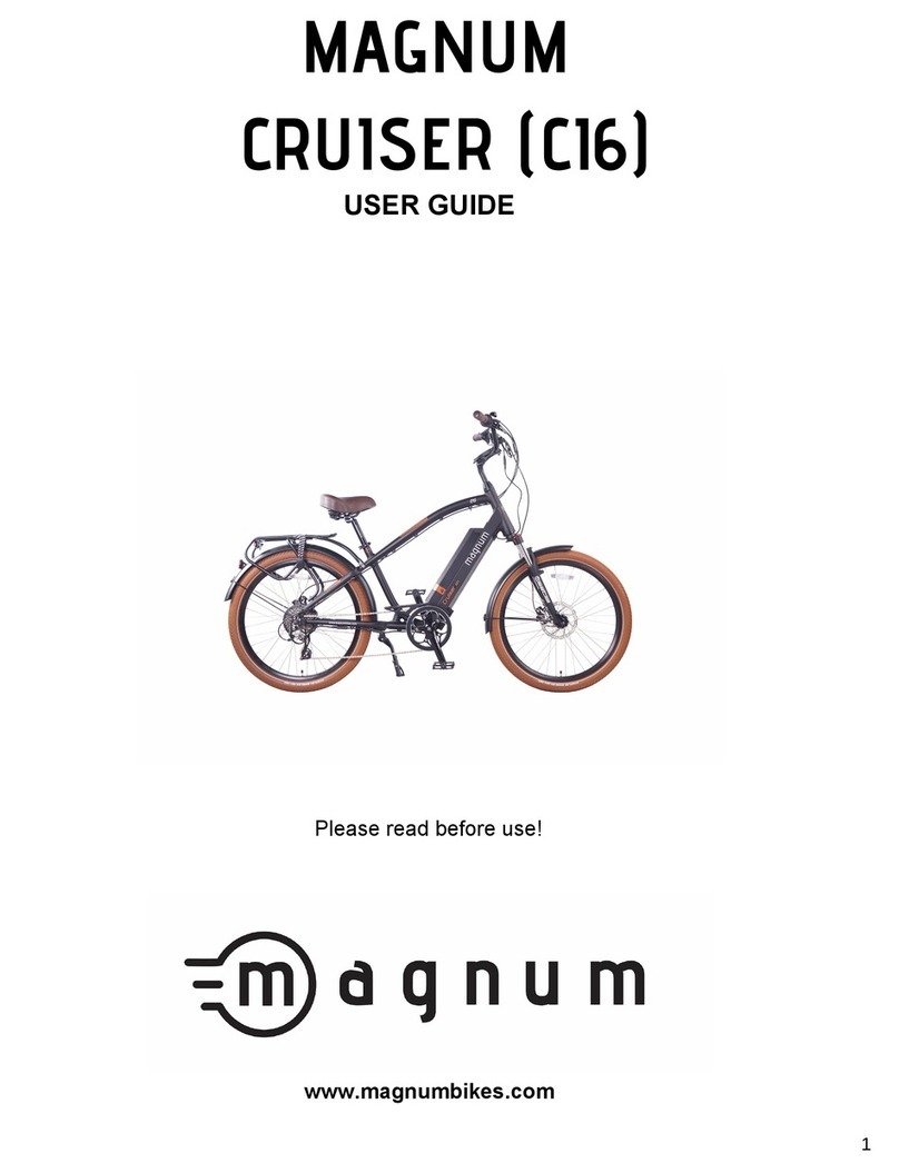 Magnum Cruiser Ci6 user guide