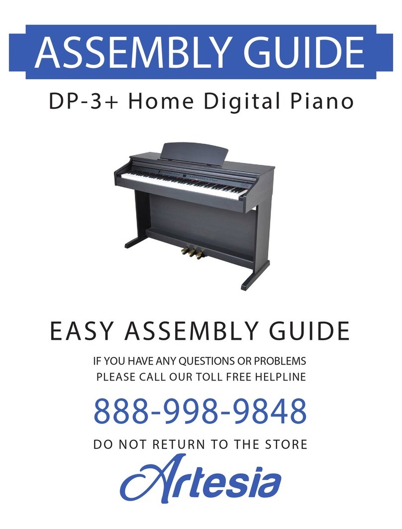 Artesia DP-3+ Assembly guide