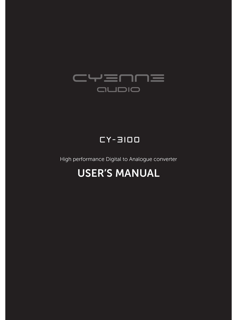 Cyenne Audio CY-3100 User manual