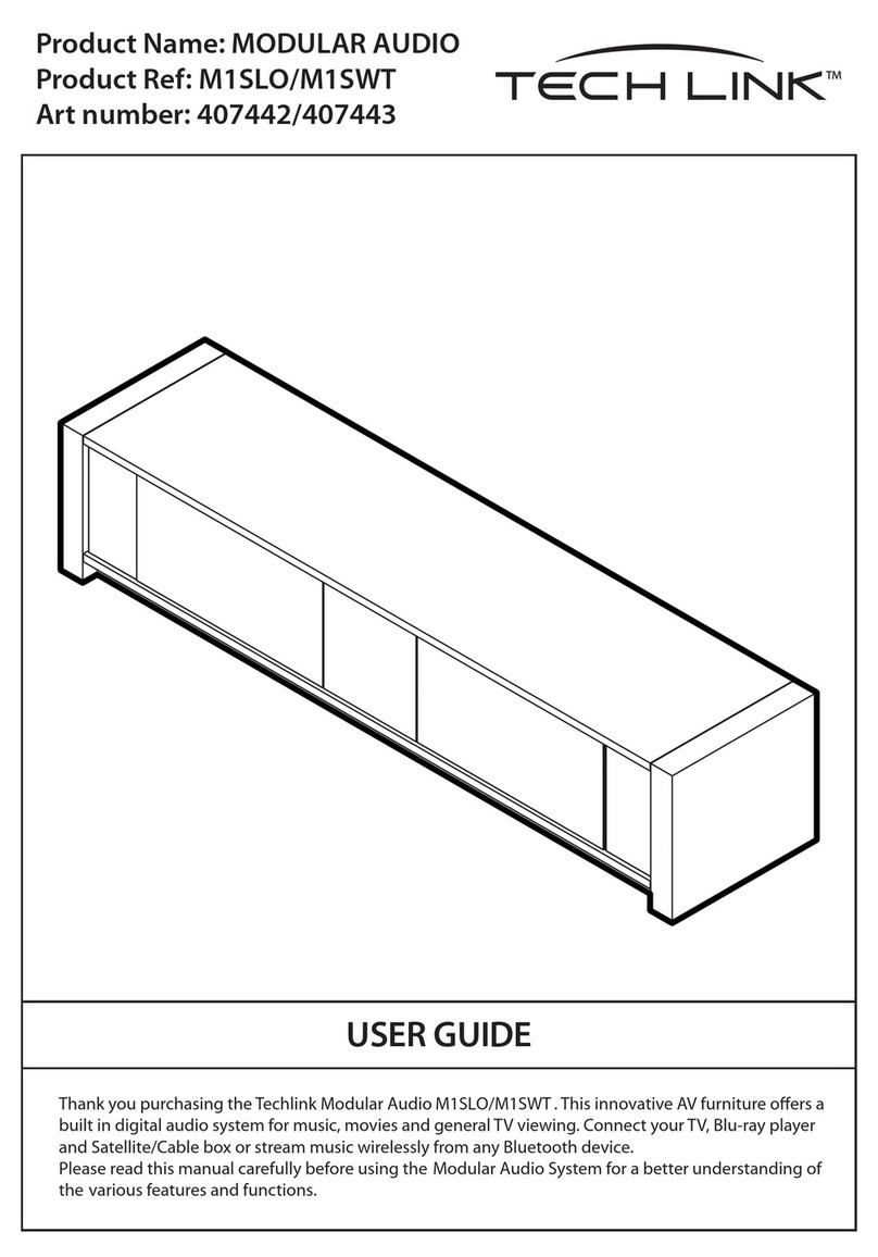Techlink MODULAR AUDIO M1SWT user guide