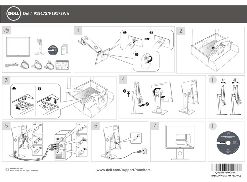 Dell P1917S User manual