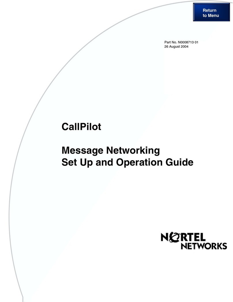 Nortel CallPilot 100 Setup guide Nortel CallPilot 100 Setup guide