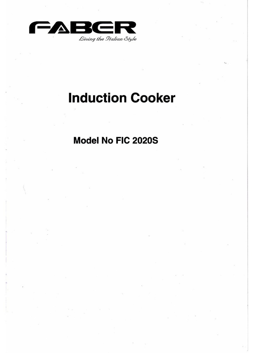 Faber FIC 20205 user manual
