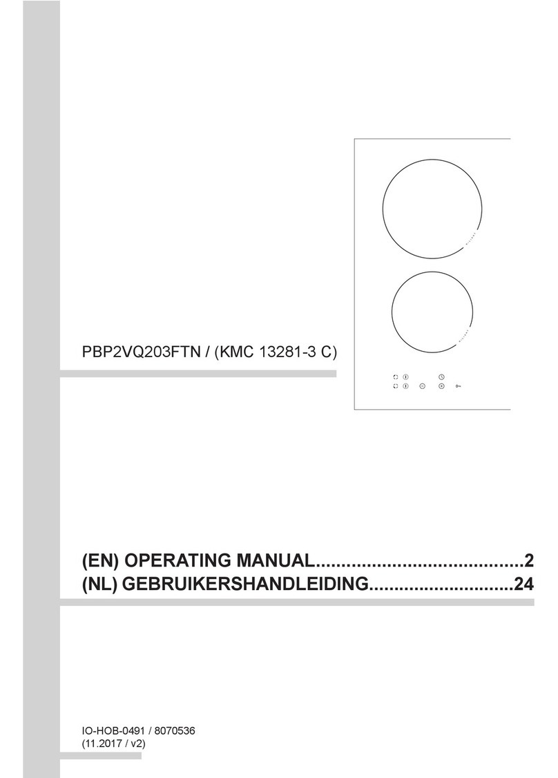 Amica PBP2VQ203FTN User manual