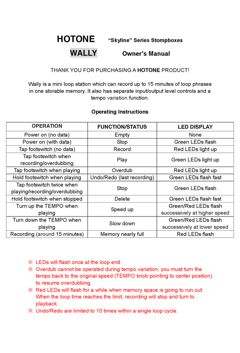 Hotone Skyline Wally User manual