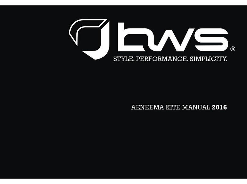 BWS AENEEMA 2016 manual