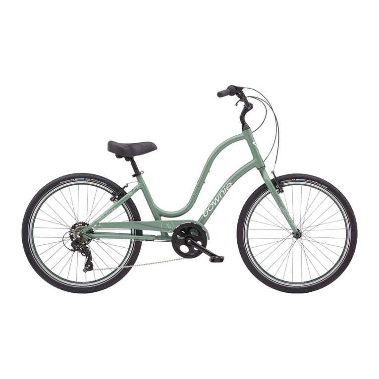 Electra Townie Series owner's manual