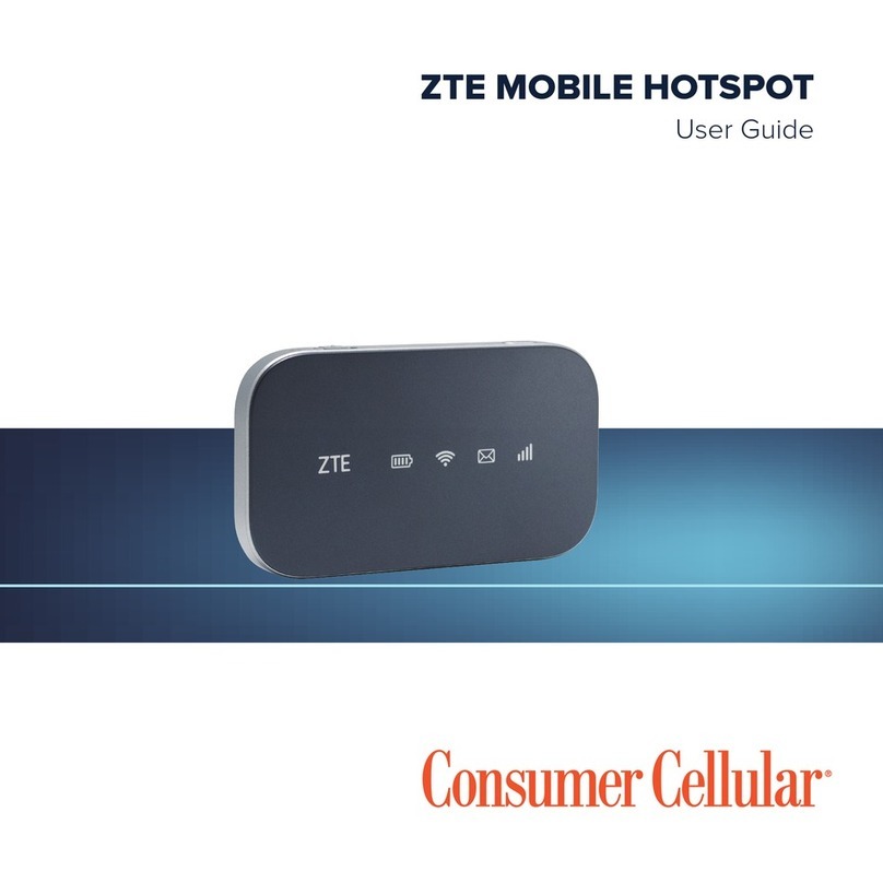 Zte Z291DL User manual