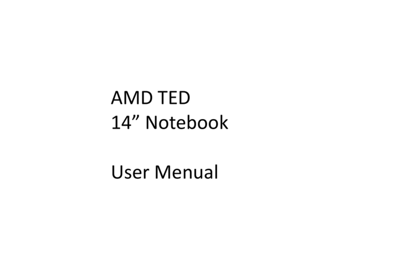 AMD TED User manual