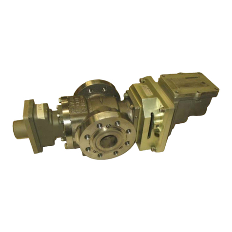 Woodward 3171A User manual