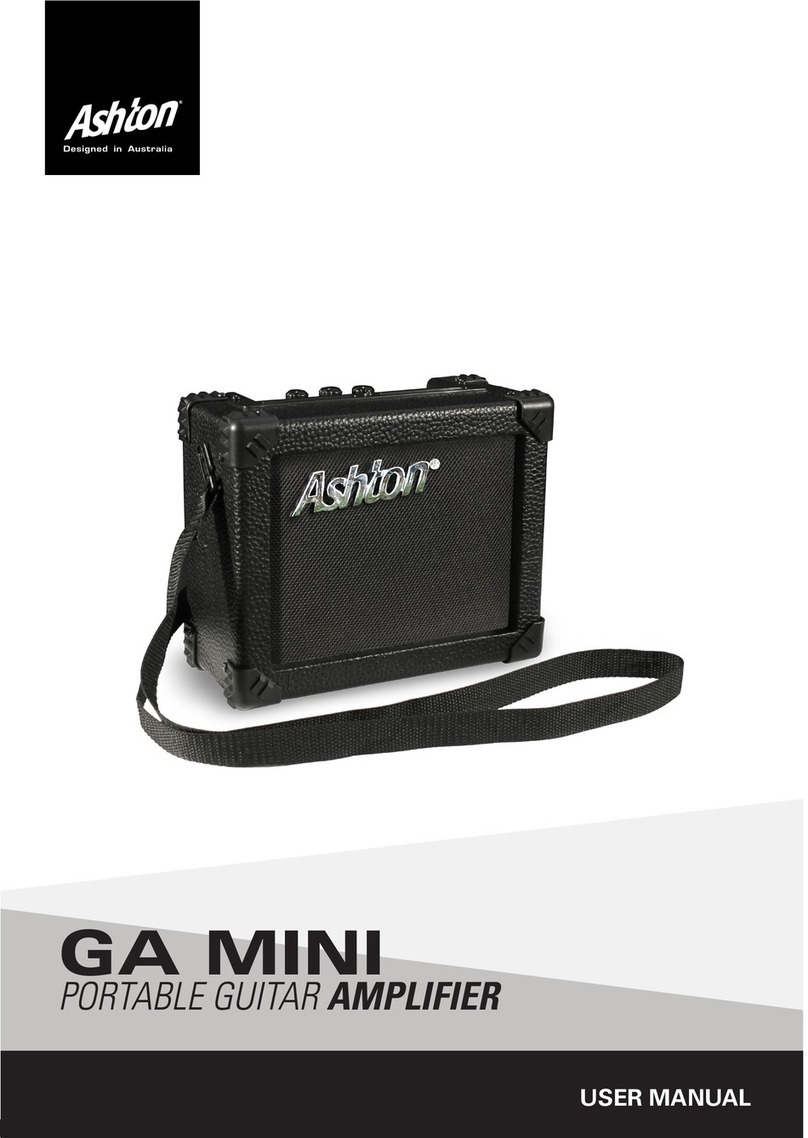 Ashton GA MINI user manual