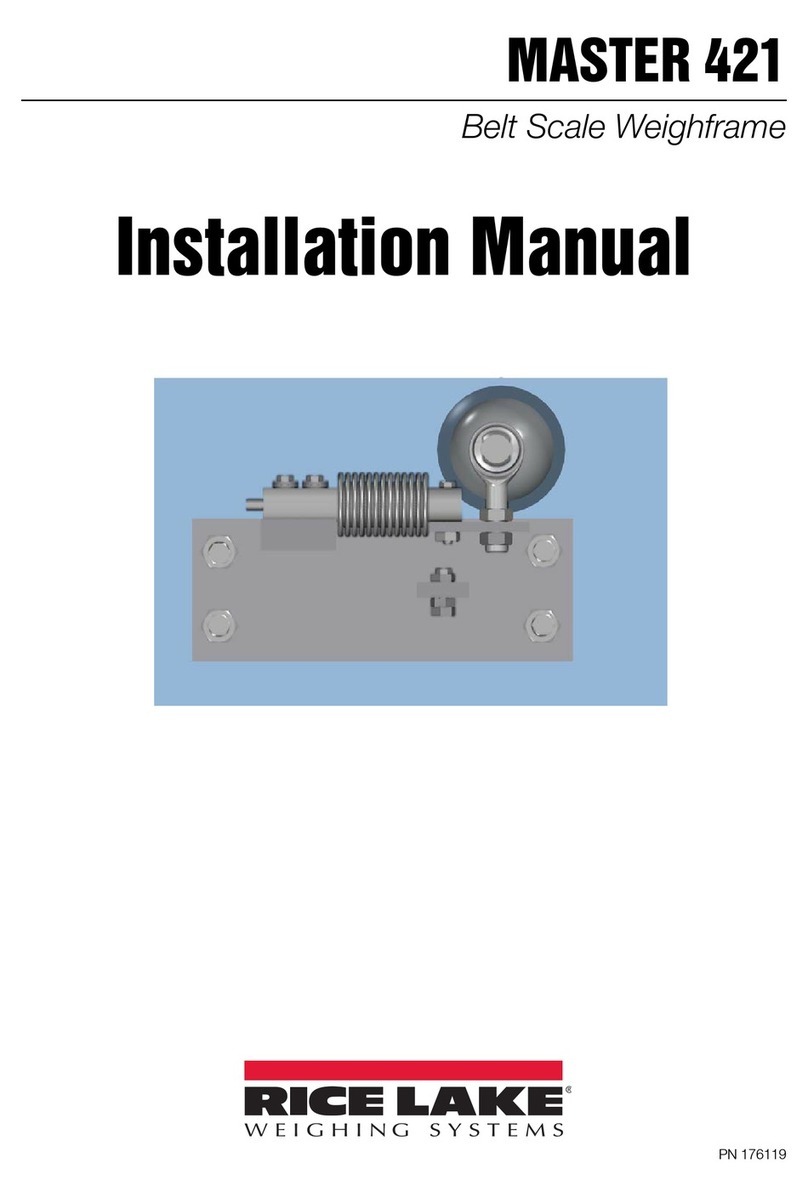 Rice Lake MASTER 421 User manual