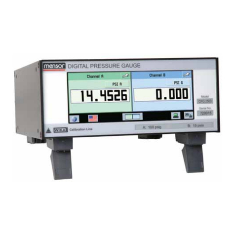 WIKA SERIES CPG 2500 User manual
