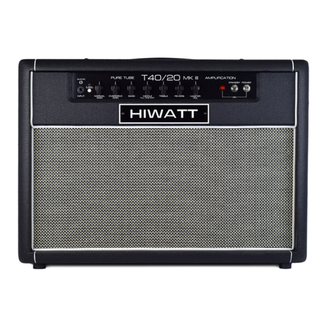 HIWATT T40 User manual
