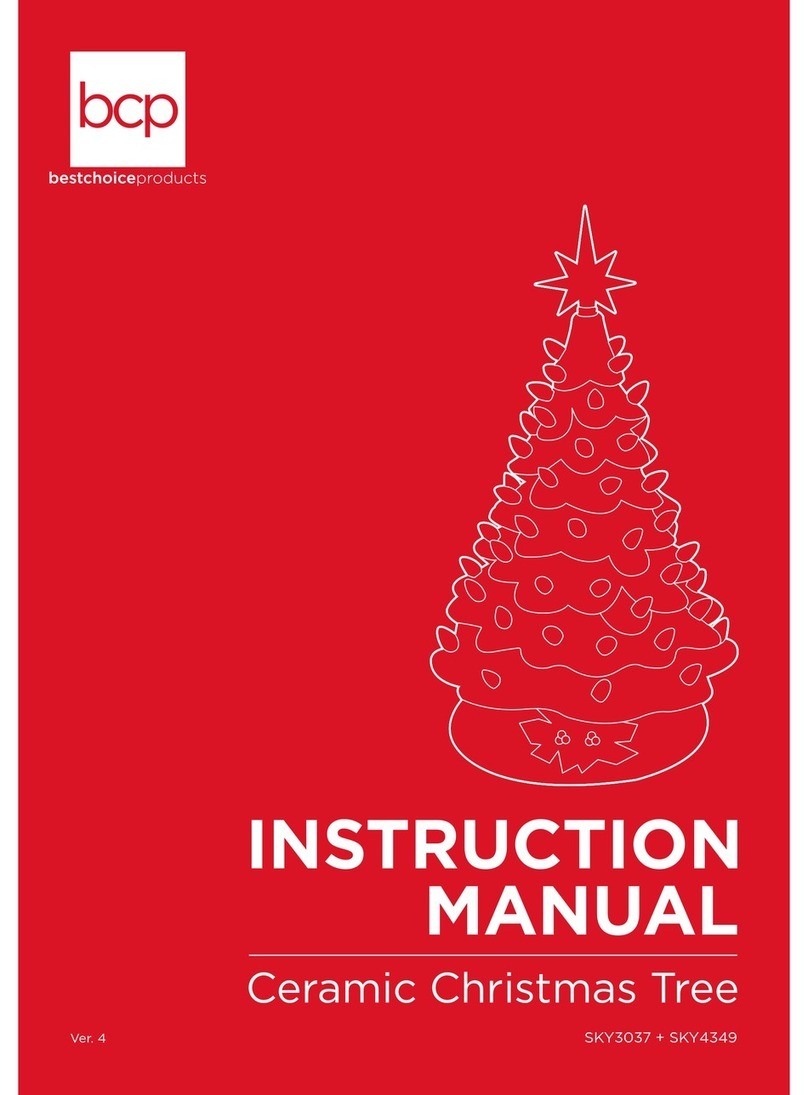 BCP SKY3037 User manual