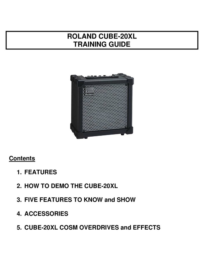 Roland CUBE-20XL Setup guide