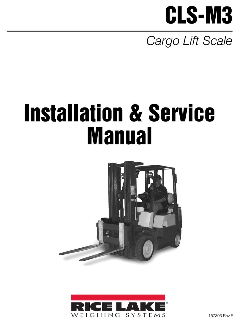 Rice Lake CLS-M3 Installation & service manual