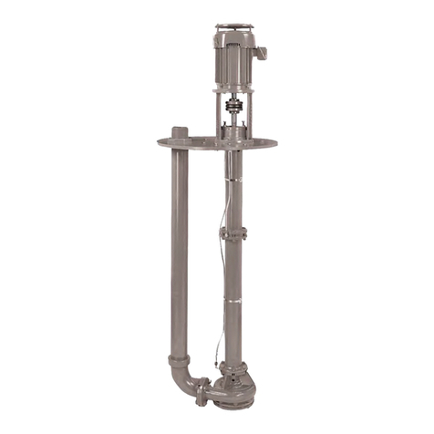 ITT Goulds Pumps API 3171 Installation, operation and maintenance manual