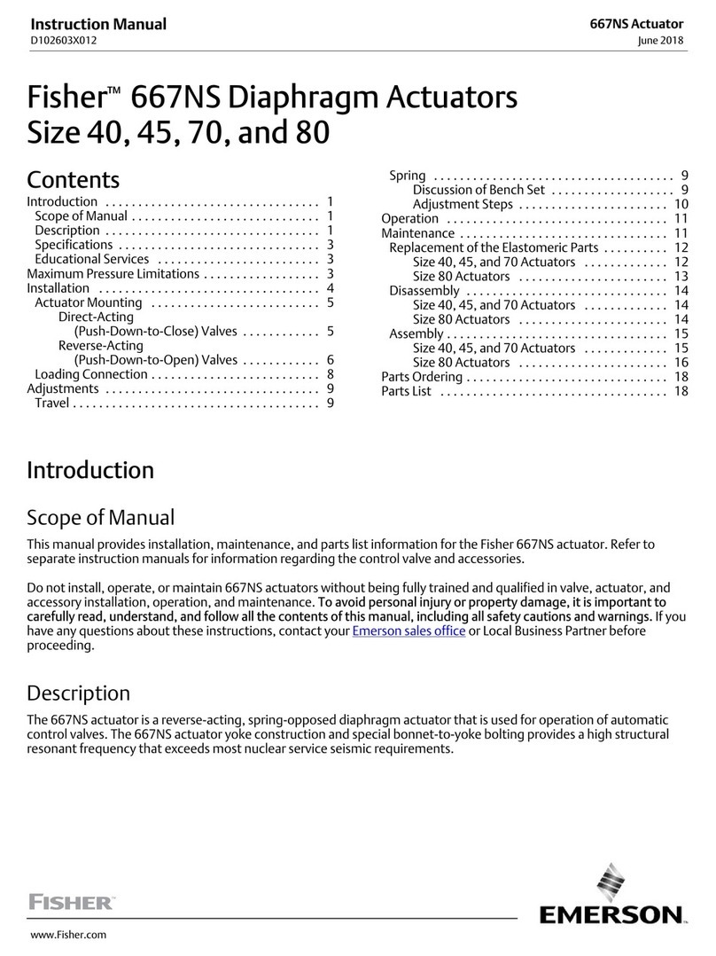 Emerson Fisher 667NS User manual