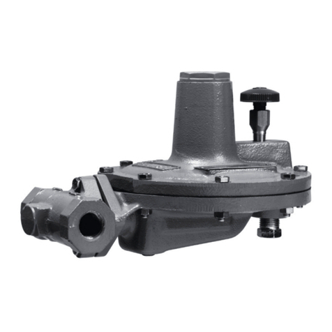 Emerson Fisher 161 Series User manual