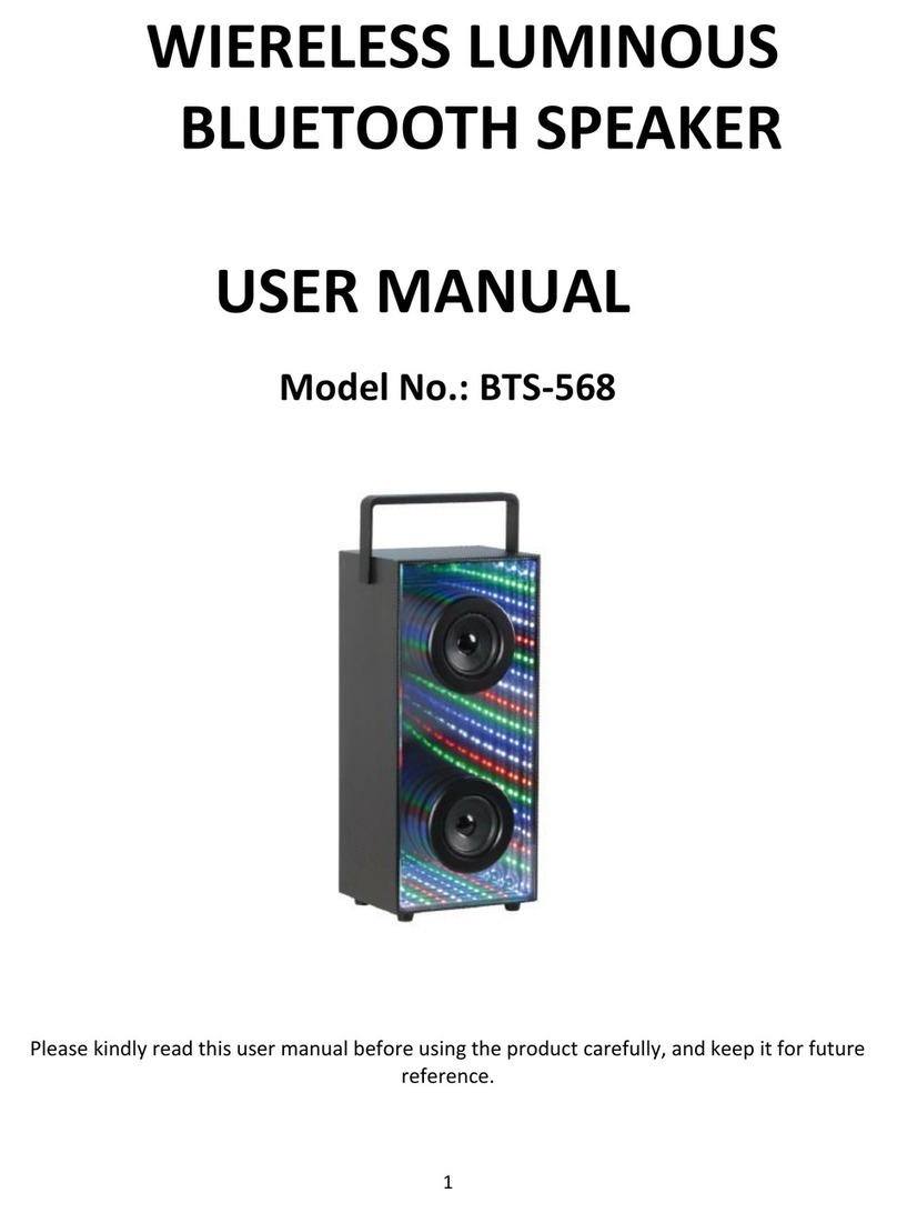 LUMINOUS AUDIO TECHNOLOGY BTS-568 user manual
