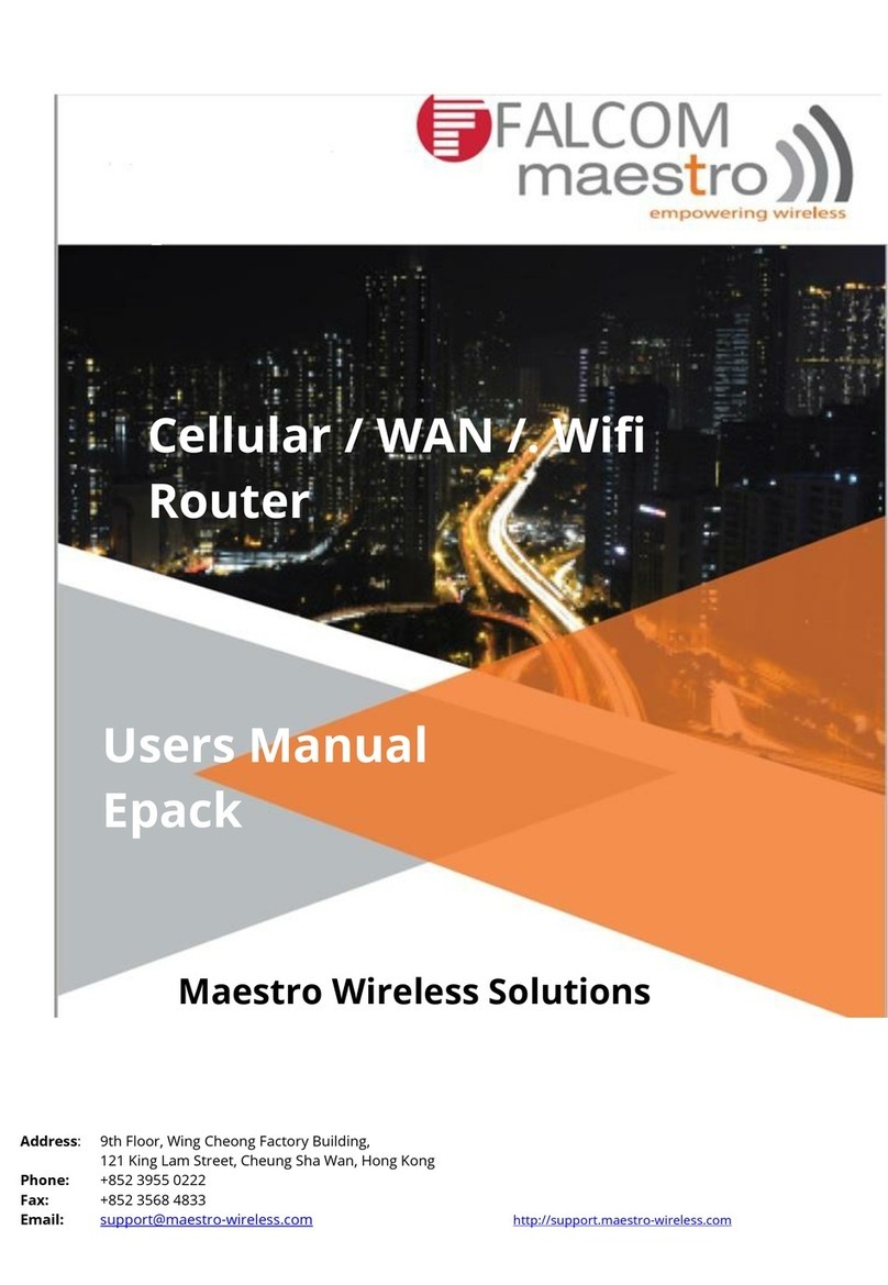 Maestro e200 series User manual
