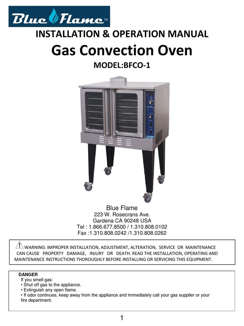 Blue Flame BFCO-1 Installation & operation manual