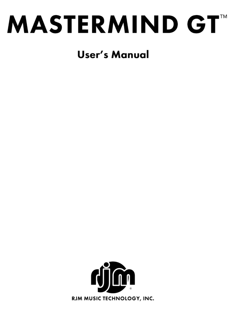 RJM Mastermind GT user manual