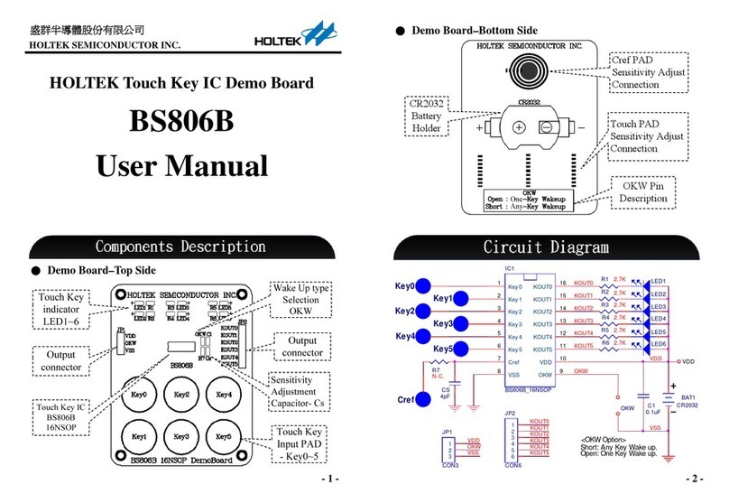 Holtek BS806B User manual