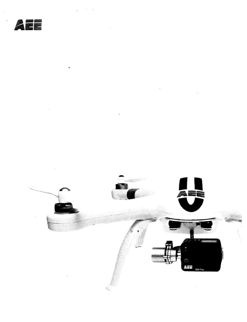 AEE AP11 Pro manual