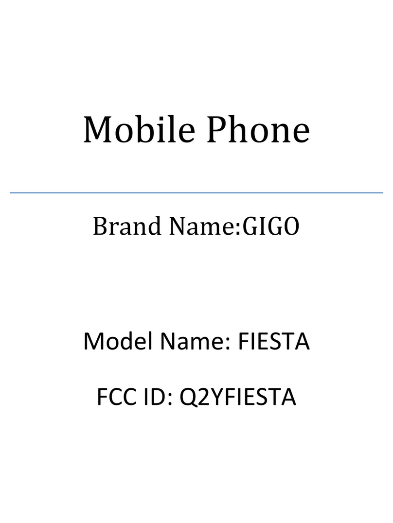 Gigo FIESTA user manual
