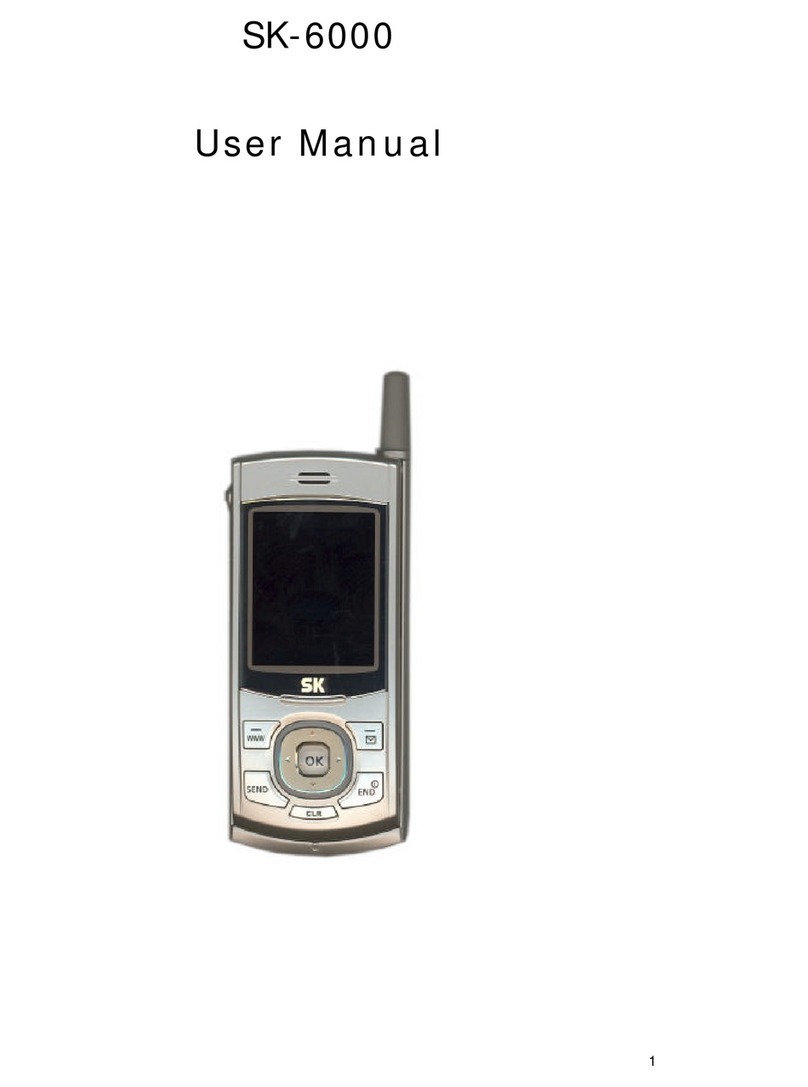 SK SK-6000 User manual