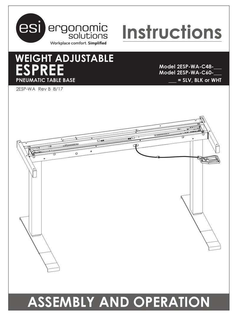 ERGONOMIC SOLUTIONS 2ESP-WA-C48-SLV User manual