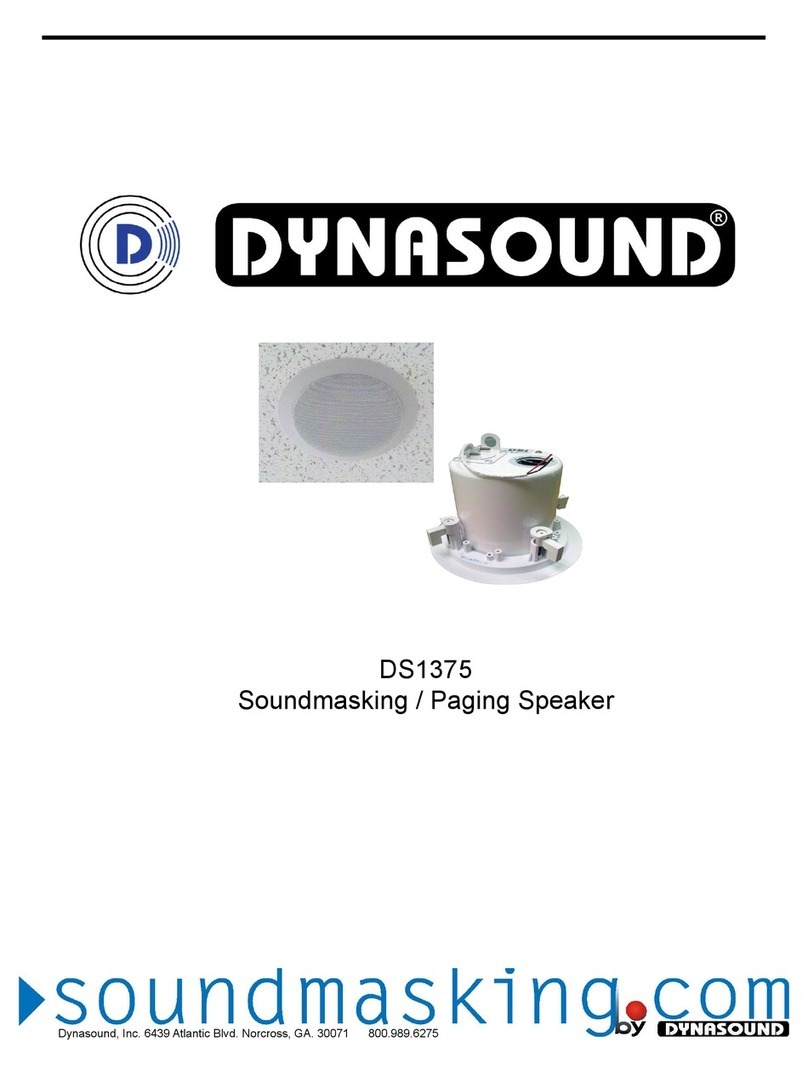 Dynasound DS1375 manual
