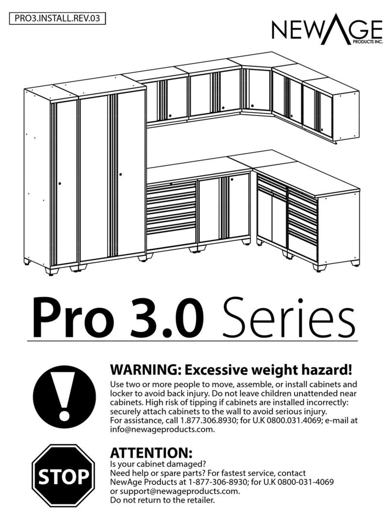 New Age Pro 3.0 Series User manual New Age Pro 3.0 Series User manual